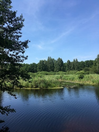 В погоне за детством - река Суворощь