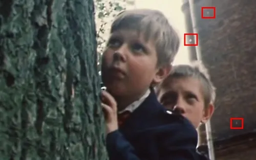 Гостья из будущего - тополиный пух