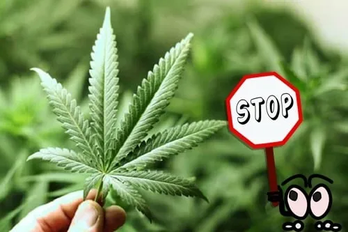 Наркотики: Темная сторона удовольствия