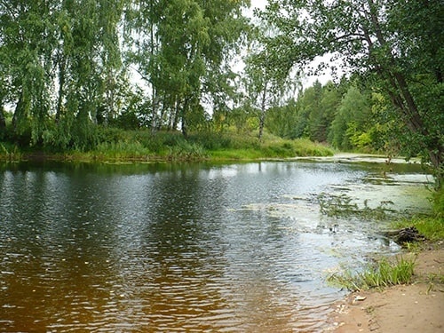 Жизнь в деревне - Живописные места - речка