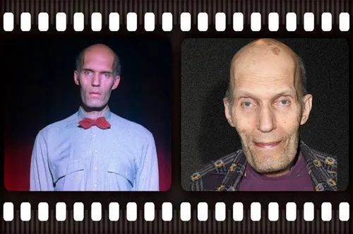 Карел Стрёйкен (Великан)