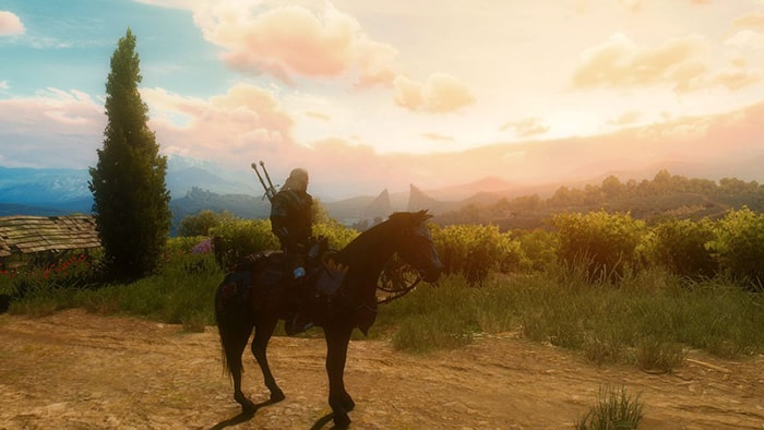 The Witcher 3: Wild Hunt