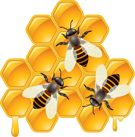 Honeygain Ваш пассивный доход от раздачи интернет-трафика.